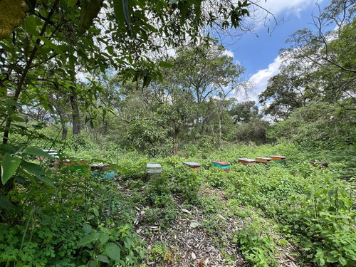 Terreno En Venta En Amecameca