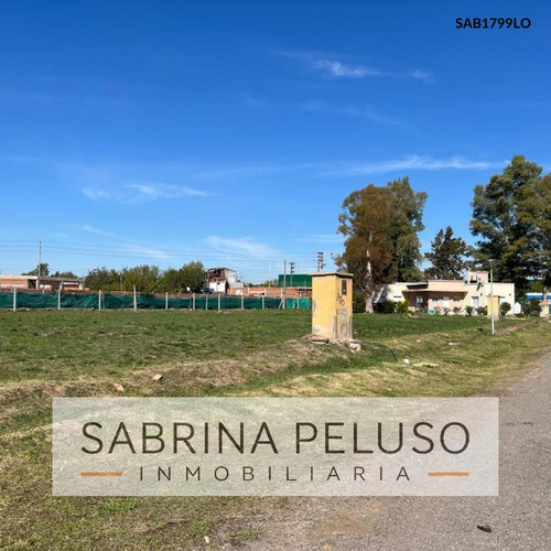 Imagen 2 de 10 de Terreno En Alvarez Del Bosque
