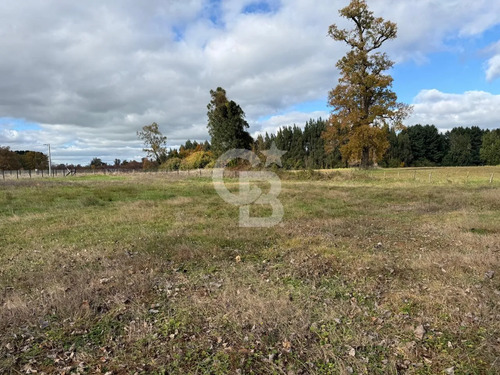 Parcelas 5.000 M² Cerca De Osorno