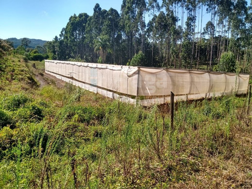 Sítio A Venda Em Rio Dos Cedros/sc - 1742c