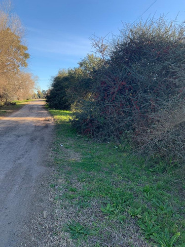 Imagen 4 de 7 de Terrenos En Parada Robles, Ruta 8 Km 77
