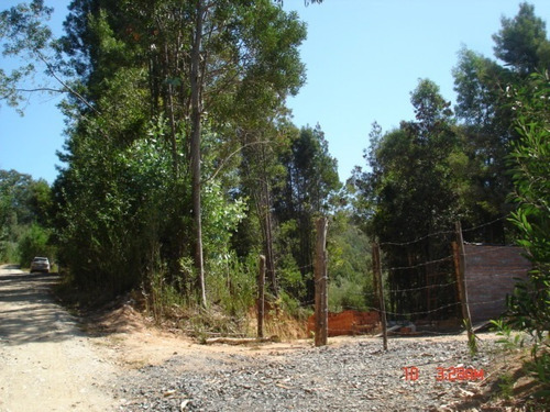 Venta Sitio S / N , Sector Reserva De Nonguen Concepción