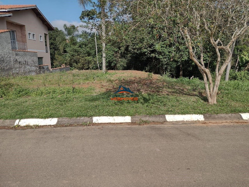 Imagem 9 de 9 de Terreno - Te00035 - 69551895