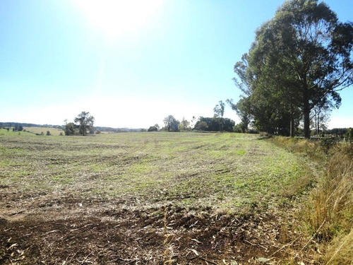 Campo Con Casa 150 Ha Aprox. A 11 Km. Osorno $ 2.247.000