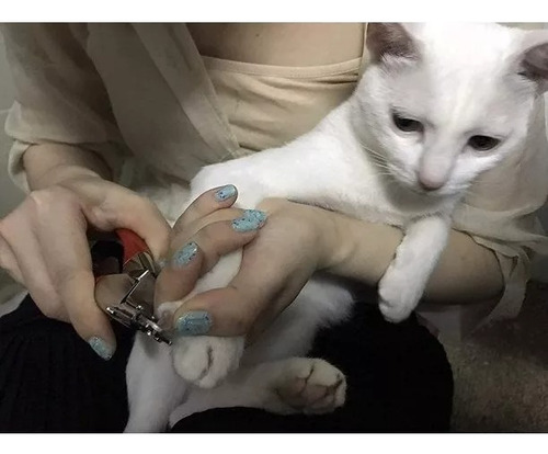 Corta Uñas Mascotas Perro Gato Tipo Guillotina Alicate Lima