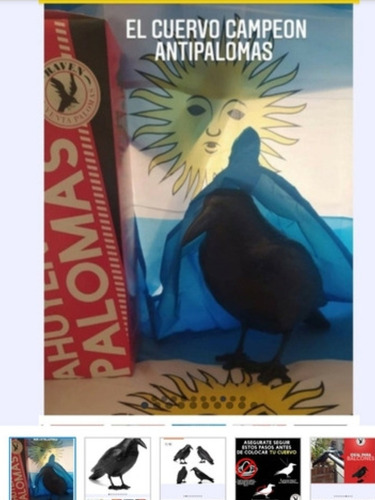 Pack Mundial Antiaves 2 Cuervos + 2m Pinches Raven Argentina
