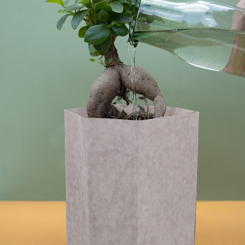 Recipiente De Papel Lavable, Bolsa De Papel Decorativa, Reut