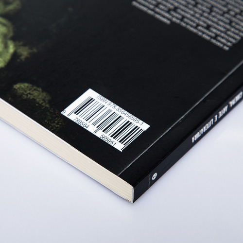 Livro Pesquisa Fenomenológica E Hermenêutica