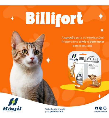 Hágil Pet Billifort Prevenção De Intoxicações Alimentares