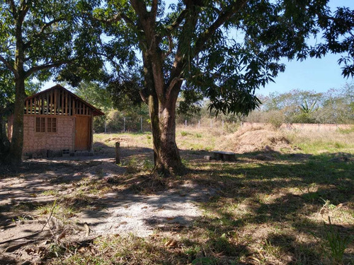 Imagem 4 de 6 de Yg15 Grande Oportunidade De Terreno Em Guaxindiba!aproveite!
