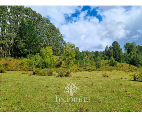 Terreno De 1 Hectarea Con Rio En Fresia