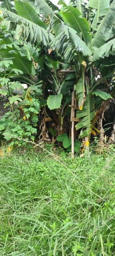 Imagem 6 de 14 de Terrenos Ou Lotes Residenciais Para Venda No Bairro Cidade Parque Brasília Em Guarulhos - Cod: Ai22658 - Ai22658