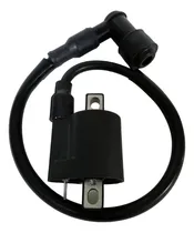 Comprar Bobina Sbr 150 Horse Arsen Speed Tx Jaguar Rkv Leon Owen