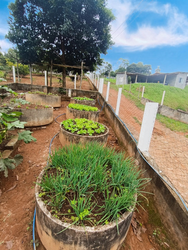 Sítio Completo À Venda Em Santa Isabel/sp 7.500m2 R$950.000