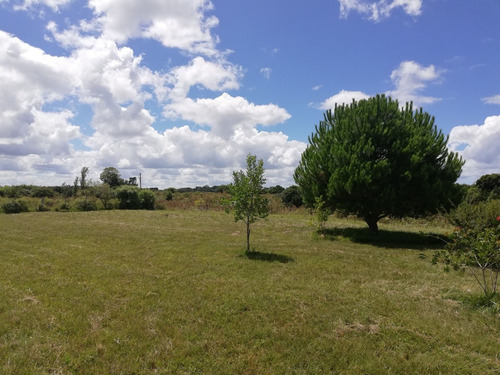 Chacra Con Casa Zona De Punta Negra (ref. 2159)