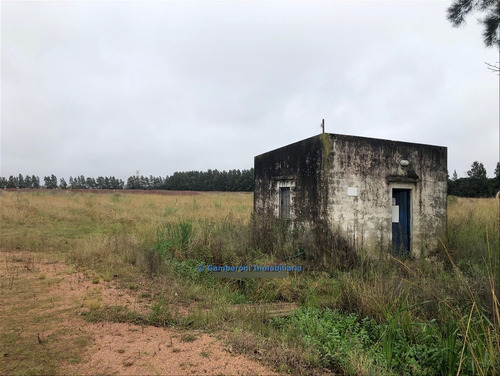 Chacra En Venta En Abayubá.