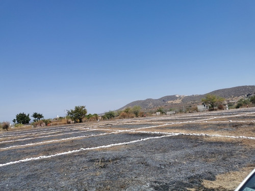 Imagen 3 de 14 de Terrenos En El Centro De Tequesquitengo Facilidades De Pago