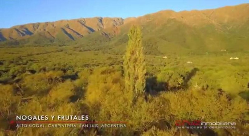 Imagen 8 de 11 de Loteo Sobre La Montaña En Marlo - San Luis - 5000m2