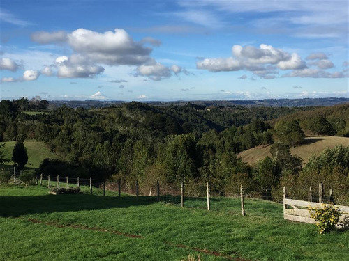 Parcela Con Agua De Pozo En Venta- Fresia- Puerto Varas