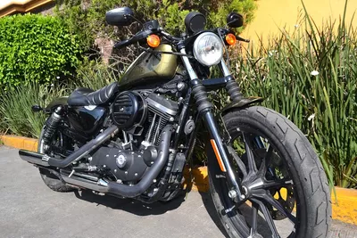 Maravillosa Harley Davidson Iron 883