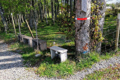Venta De Parcela En Folilco, Region De Los Lagos