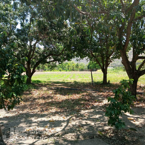Parcela En Venta San Francisco De Asis Aragua 06js