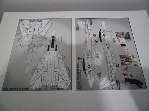 Escala 1/48 Decal Set Grumman F-14 Tomcat Victory Cats (Usado)