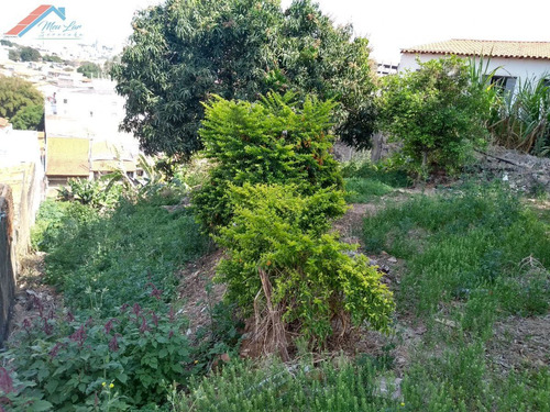 Terreno A Venda No Bairro Vila Haro Em Sorocaba - Sp. - Te 069-1