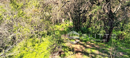 Agrícola En Venta En Olmué