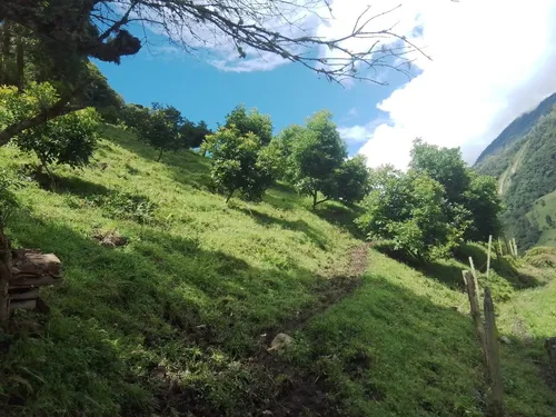 Finca Via Juntas - Ibagué
