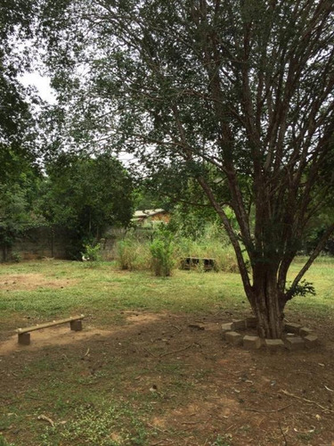 Imagem 7 de 12 de Exclusividade - Chácaras Santa Margarida - Te0962