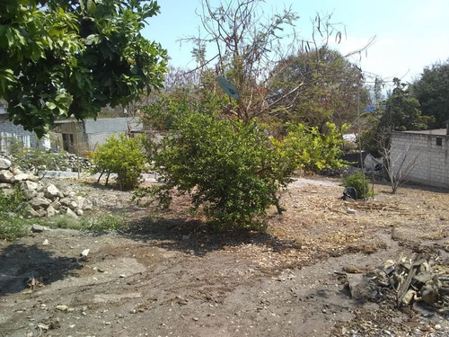 Imagen 8 de 9 de Terreno En Venta En Morelos