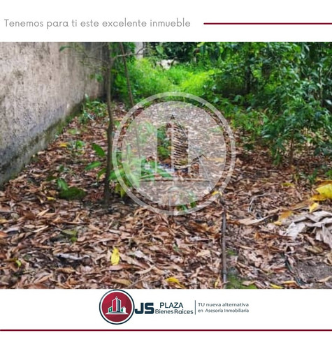 Imagen 8 de 9 de Terreno En Venta El Limon Sector El Piñal 04241408770