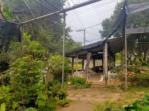 Imagem 2 de 15 de Terreno A Poucos Metros Da Av. Vicente Rao. - Reo50435