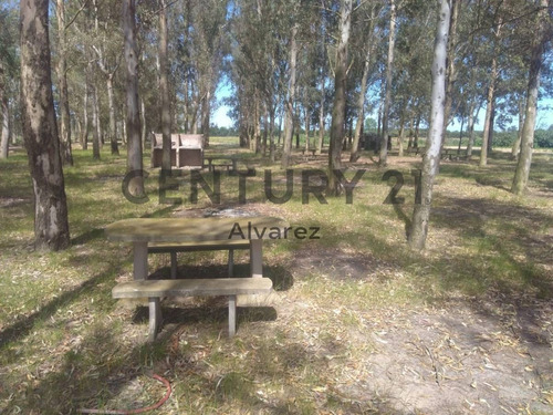 Imagen 7 de 25 de Venta De Lote De Terreno De Chacra Ideal Inversores