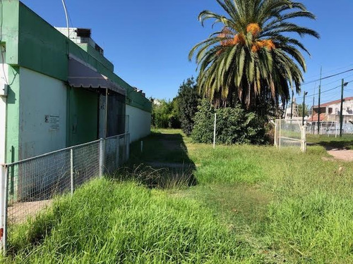Imagen 8 de 22 de Inmueble Comercial - Alquiler - 2000 M2 - Merlo - Libertad - Lote - Local - Deposito
