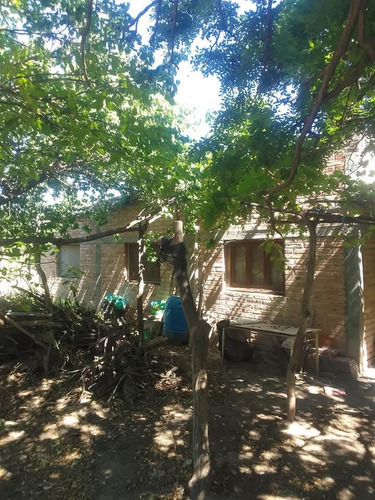 Finca En Venta En Bowen, General Alvear, Mendoza