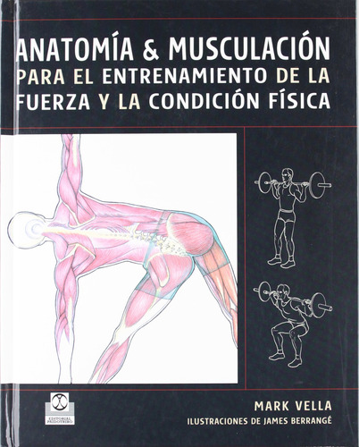 Anatomía & Musculación Para El Entrenamiento De La Fue 81ne5