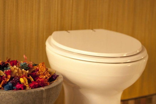 Assento Sanitário Classica Pergamon (bege Claro) Para Celite