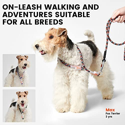 Howgo Collar Deslizante Con Cuerda De Escalada, Collar De Ci