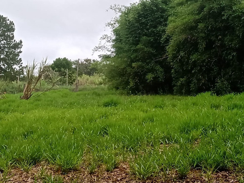 Imagem 16 de 27 de Chácara 10,000m2,muita Água,nascente Fundos,casa Sem Terminar,4 Kms Do Asfalto,bairro Vatinga - Ch00040 - 68898851