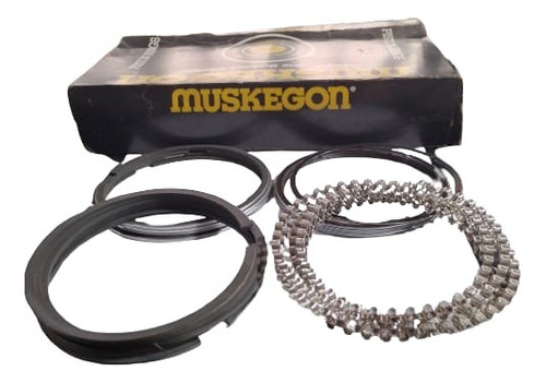 Anillo Muskegon Chevrolet Gm 250 Jeep 242 40514 Std 020 030