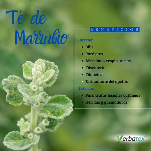 Pack 4 Té De Marrubio Con 25 Sobres Cada Uno Yerbatex