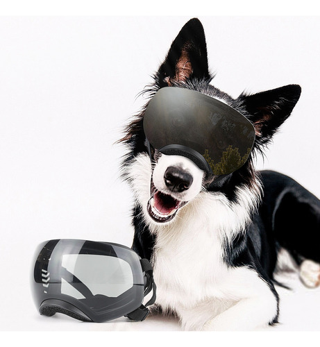 Gafas De Protección Uv Para Perro Grande