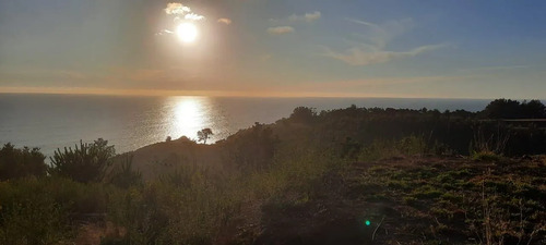 Parcela 3000 M2 En Venta Cobquecura