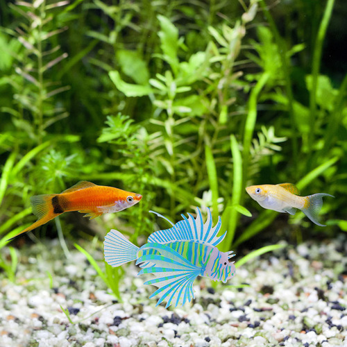 Pez León De Silicona Fluorescente, 4 Unidades: Pez Falso Flo