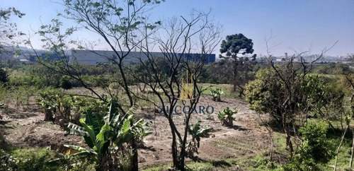 Área À Venda, 70000 M² Por R$ 21.000.000,00 - Jardim Do Triunfo - Guarulhos/sp - Ar0193