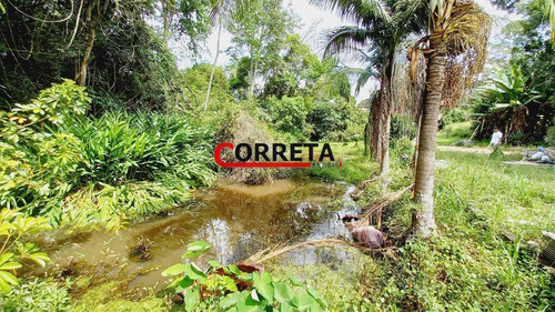 Imagem 5 de 15 de Ótima Area De 42000 M² Com Nascentes Dágua E Lago Na Rodovia Bunjiro - 524
