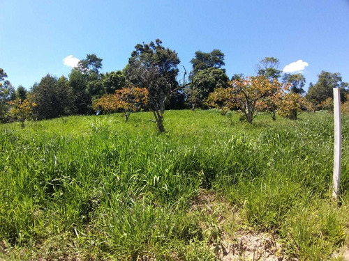 Oportunidade Unica Terrenos Com Preço Baixo D