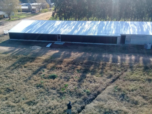 Granja En Inmejorable Zona De San Pedro, Totalmente Equipada Para Su Explotacion